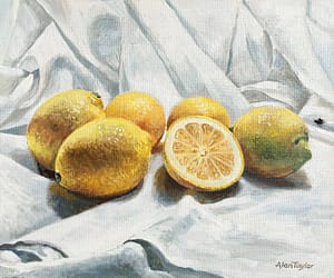 Still life lemons